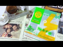 Bolsa de plástico de cierre de cerradura de embalaje mat desaparecido para alimentos cocidos