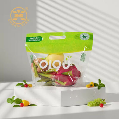 Custom Logo Anti-Fog Vacuum Packaging Bag with Breathable Air Holes for Fresh Produce