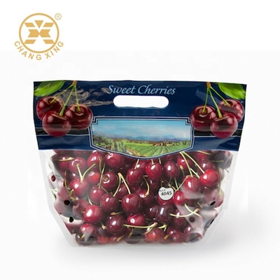 bolsos de empaquetado de la fruta seca de 100g 500g con el agujero Cherry Stand Up Pouches Eco fresco amistoso